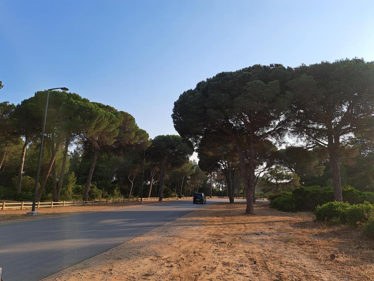 Cosy Appartement A 3Min De La Foret Et 5Min De La Plage Tanger Exterior foto